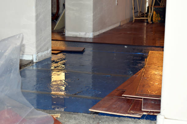 Professional Sewage Cleanup technician working in Brockton, MA